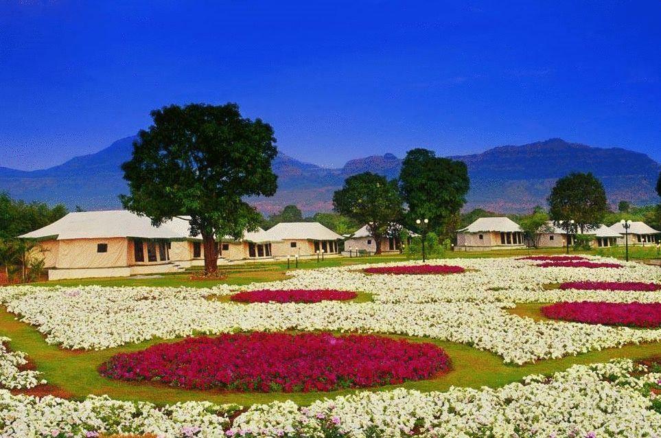 ホテル アンビー バレー シティ ロナバラ エクステリア 写真 Flower garden in the resort